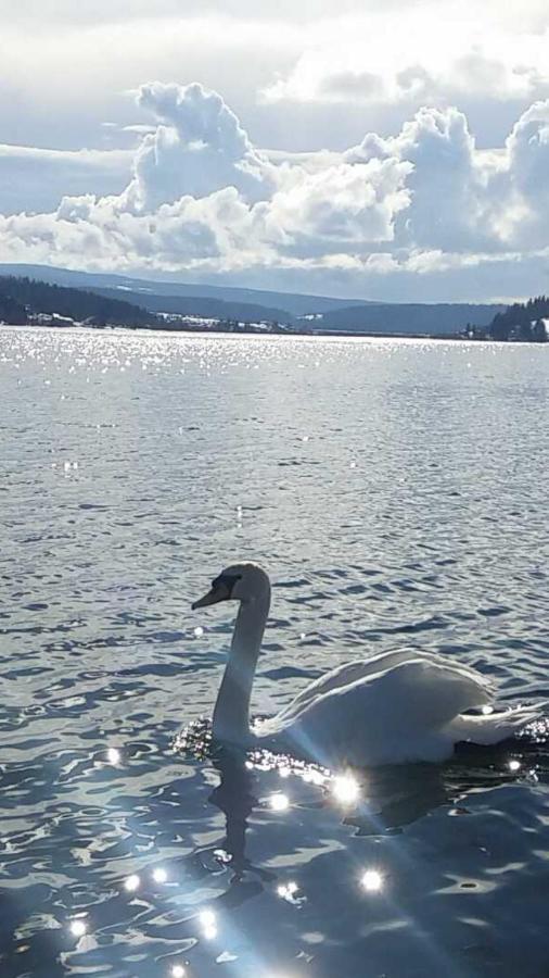 L'Ecrin Du Lac Saint-Point-Lac Экстерьер фото